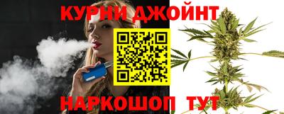 гидра Вязьма