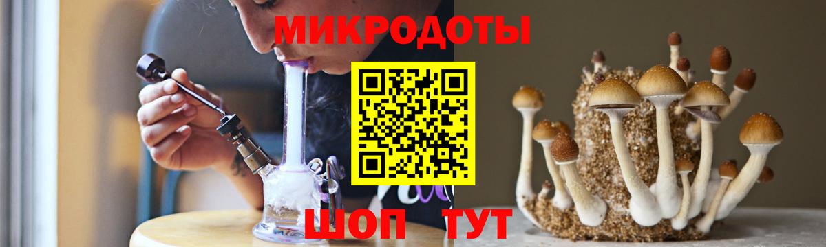 Нижнекамск  Галлюциногенные грибы Cubensis  Вход с VPN 